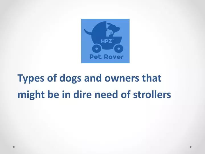 types of dogs and owners that might be in dire need of strollers