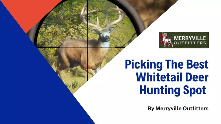 picking the best whitetail deer hunting spot