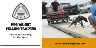 Dog Weight Pulling Training