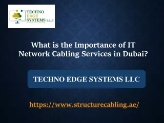 what is t he importance of it network cabling services in dubai