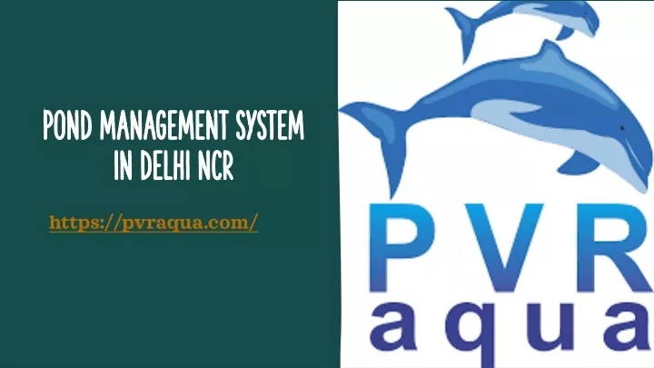 pond management system in delhi ncr