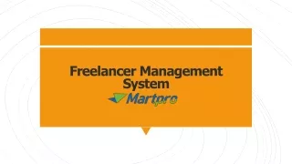 Freelancer Management System