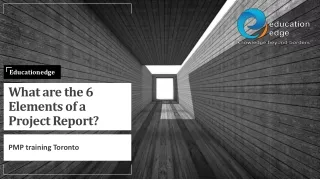what are the 6 elements of a project report