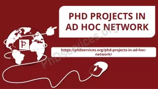 phd projects in ad hoc network