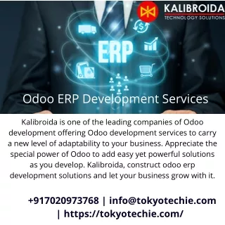 Odoo ERP Development Services