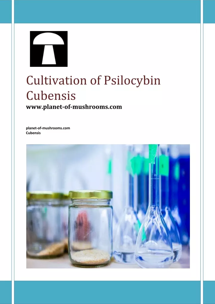 cultivation of psilocybin cubensis www planet