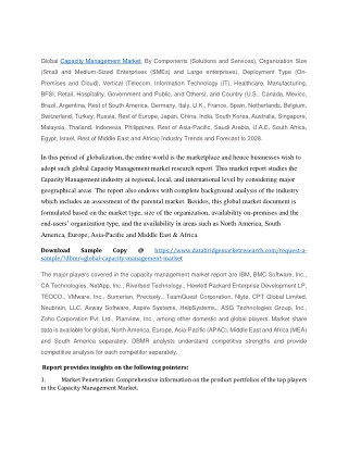 global capacity management market by components
