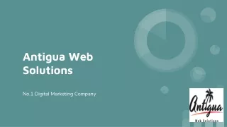 Antigua Web Solutions