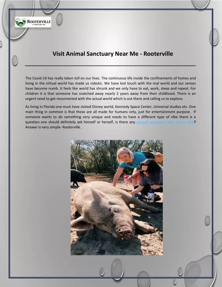 visit animal sanctuary near me rooterville