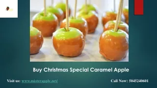 Gourmet Apples for Christmas- Mister Apple