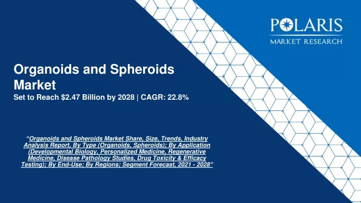 organoids and spheroids market set to reach 2 47 billion by 2028 cagr 22 8