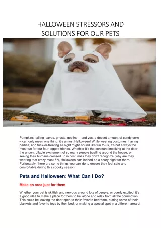 Halloween stressors and solutions for our pets