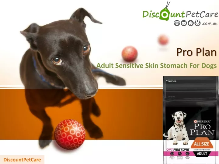 pro plan adult sensitive skin stomach for dogs