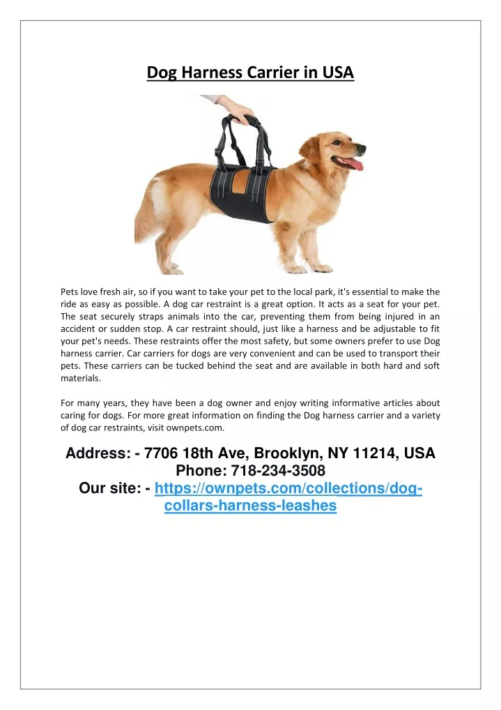 dog harness carrier in usa