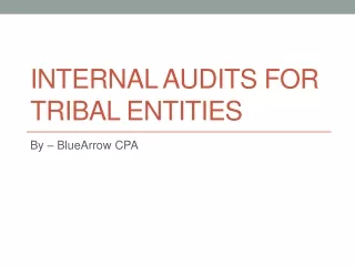 Internal Audits for Tribal Organization
