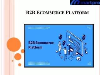 B2B Ecommerce Platform