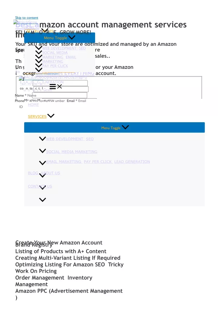 best a mazon account management services india