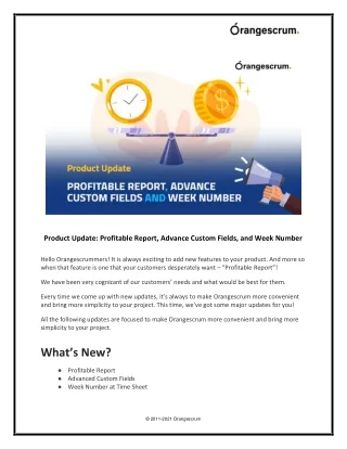 product update profitable report advance custom