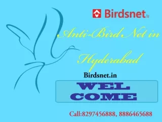 Bird Spikes in Hyderabad