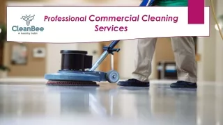 Professional Commercial Cleaning Services