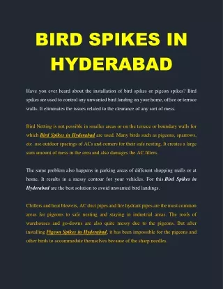 BIRD SPIKES IN HYDERABAD