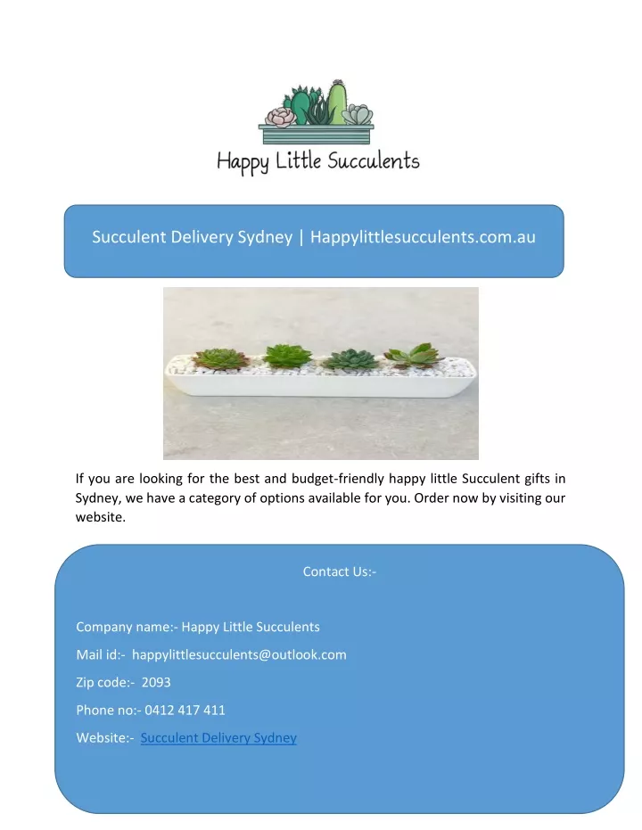 succulent delivery sydney happylittlesucculents