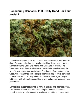Cannabis uk