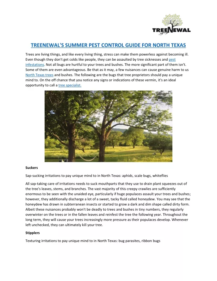 treenewal s summer pest control guide for north