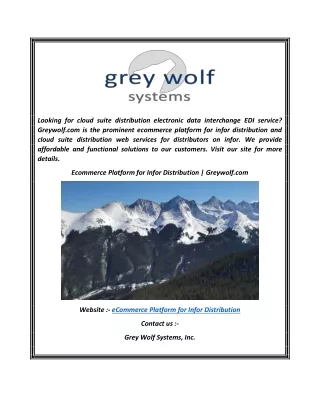 Ecommerce Platform for Infor Distribution  Greywolf.com