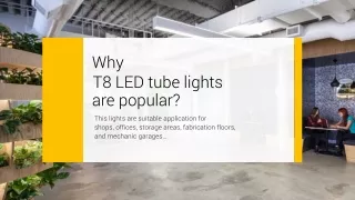 Why T8 LED tube lights are popular?