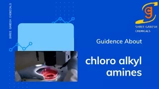 Guidance On chloro alkyl amines By shree ganesh chemicals