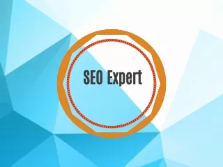seo expert