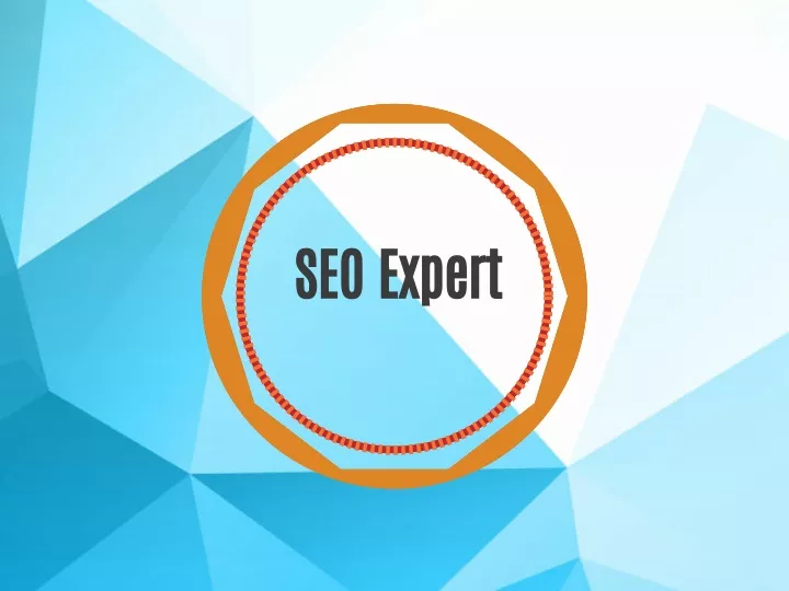 seo expert