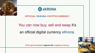 Government Approved Cryptocurrency