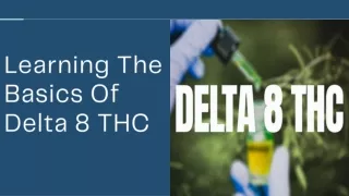 Learning The Basics Of Delta 8 THC