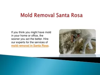 Mold Removal Santa Rosa
