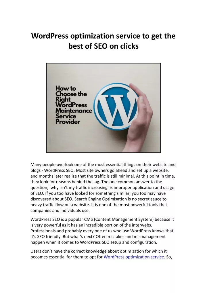 wordpress optimization service to get the best