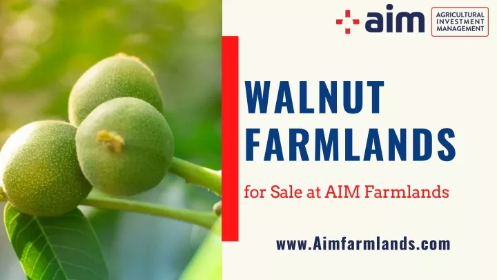 walnut farmlands