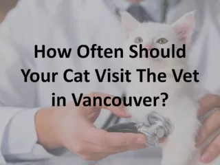 how often should your cat visit the vet in vancouver