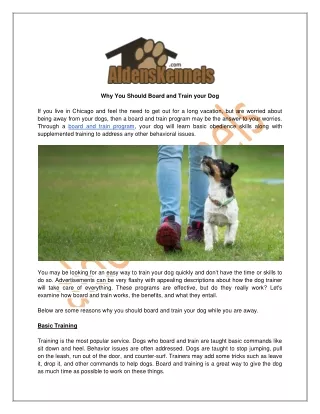 Why You Should Board and Train your Dog
