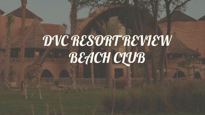 dvc resort review beach club
