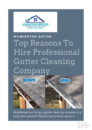 Hire The Best Gutter Cleaning Company In Wilmington, North Carolina