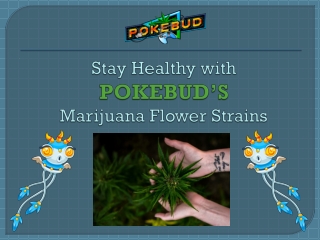 Health Benefits Of Marijuana Flowers