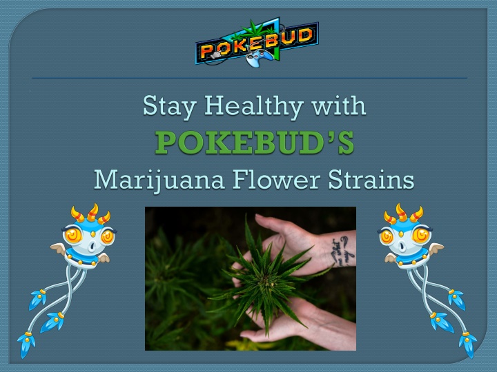 stay healthy with pokebud s marijuana flower strains