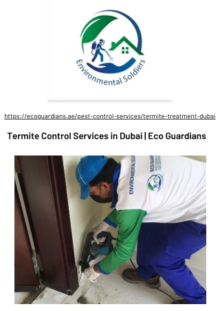 Termite Control services in Dubai