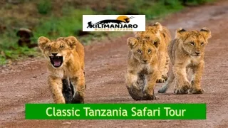 Classic Tanzania Safari Tour