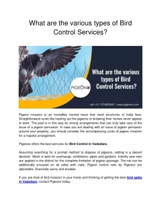 What are the various types of Bird Control Services