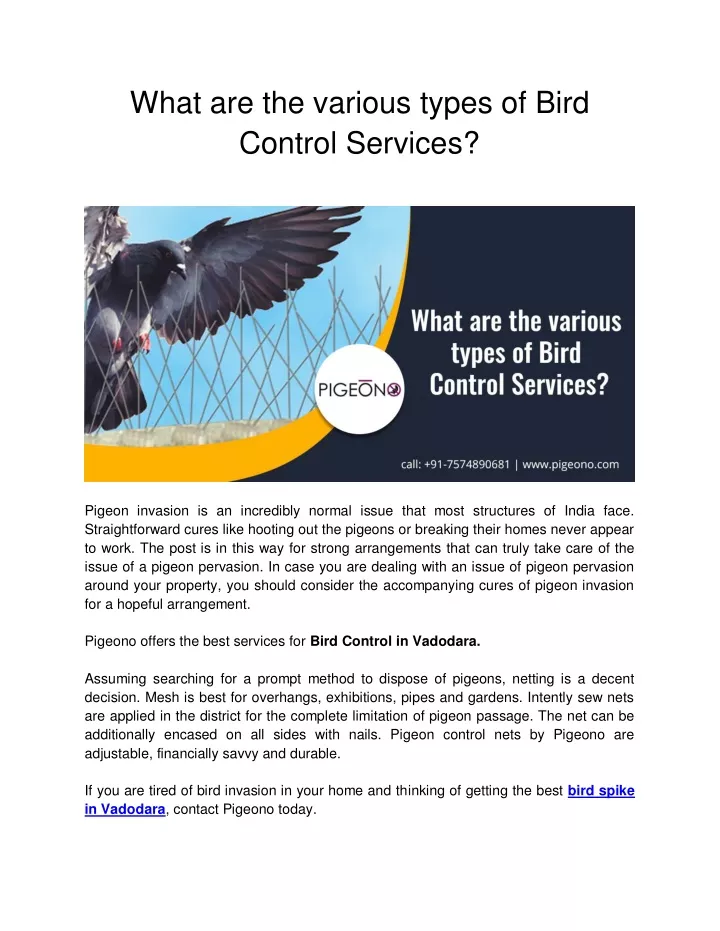 what are the various types of bird control