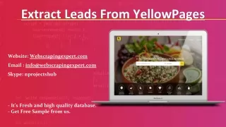 extract leads from yellowpages