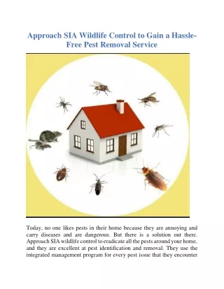 Approach SIA wildlife control to gain a hassle-free pest removal service